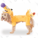 Rubie’s Nickelodeon CatDog Pet Costume | $46 | Amazon